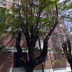 Asesinó a balazos a su amiga porque no quiso «acostarse» con él argentina