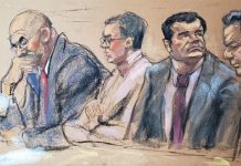 Piloto del Chapo testifica como enlace con cárteles de Colombia estados unidos