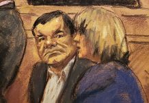Jets, un zoo y un yate: La carísima vida de El Chapo en los 90 el chapo