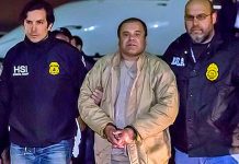 Testigo en juicio de «El Chapo» detalla envíos millonarios de cocaína el chapo