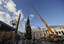 arbol de navidad