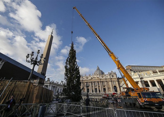 El-Vaticano_Ed93cjx arbol de navidad