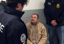 el chapo