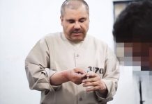 Así pasó El Chapo su cumpleaños en medio de la pandemia (Foto)