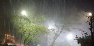 lluvias