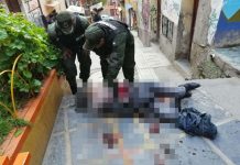 Ganó una beca a EE.UU. salió a festejar y su ex la degolló bolivia