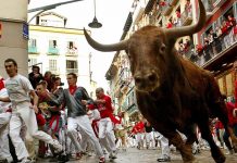 pamplona