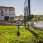 virus del nilo occidental