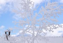 Temporal de nieve obliga a cancelar vuelos en Madrid
