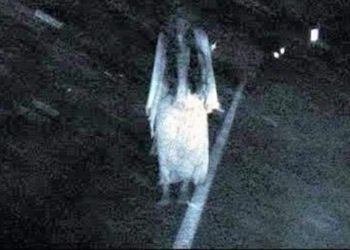 criminologa costarricense