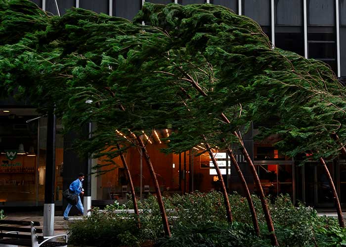 Estados-Unidos_o0i8TTz nueva york