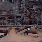 programa mundial de alimentos