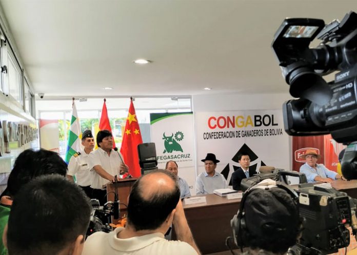 carne vacuna de bolivia