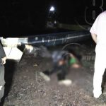 brigada de fumigacion