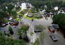 depresion tropical florence