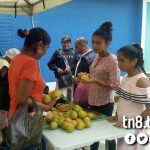 feria solidaria