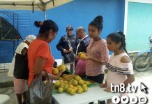 feria solidaria