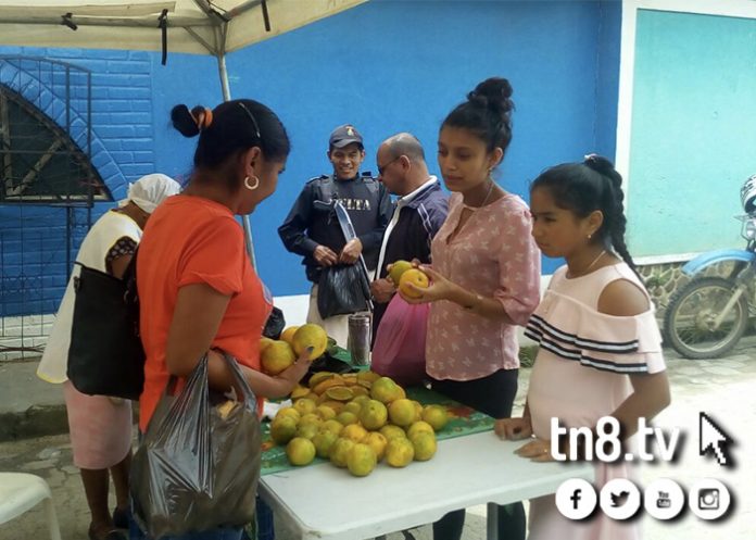 Feria_cHnp6S1 feria solidaria