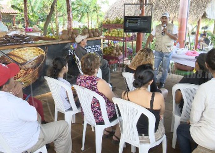 Feria_dJ81xnI parque nacional de ferias