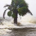 huracan michael toca tierra en florida