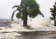 huracan michael toca tierra en florida