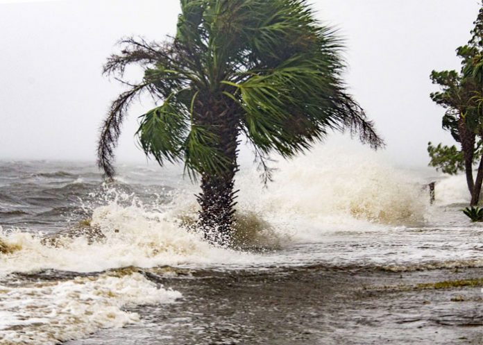 huracan michael toca tierra en florida