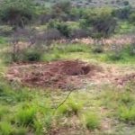 Hallan fosa clandestina con ocho cuerpos semienterrados en México celaya