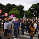 trabajadores de la salud