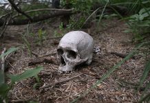 Aumenta en 2017 el número de inmigrantes muertos al cruzar de México a EE.UU.
