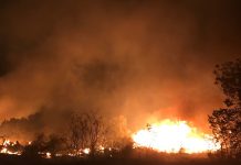Evacúan a cientos de personas por un incendio en Austin, Texas incendio