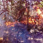 El Salvador registra 109 incendios forestales este 2019 el salvador