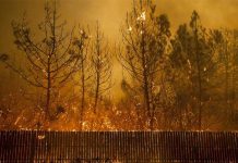 California: Ordenan evacuación de Malibu por incendio evacuacion