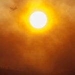 Bomberos luchan contra fuego que ha arrasado 28.300 hectáreas en California bomberos