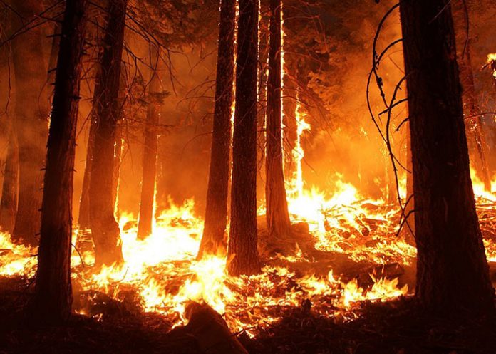 Fuego_a2B74Yi incendios