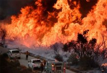 Fotos: Los incendios forestales más mortíferos en EE.UU. desde la década de 1990 incendios forestales