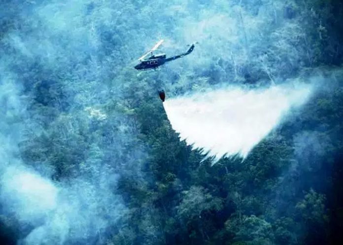 Fuego_r5WD3yI guatemala