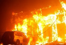 Incendios forestales en California dejan 5 muertos y miles de evacuados estados unidos