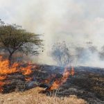 incendios forestales