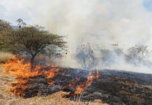 21 incendios forestales permanecen activos en Guatemala incendios forestales
