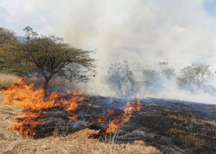 incendios forestales