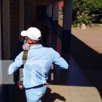 Desarrollan jornada de fumigación para matar los zancudos en Managua zancudos