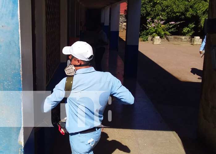 Fumigacion-Managua zancudos