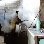 casos de dengue