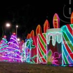 Con éxito se realizó de manera virtual el II Ejercicio Multiamenazas en Nicaragua nicaragua