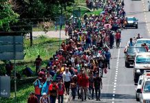 ¿Van pandilleros en caravana de migrantes que partió de Honduras? caravana migrante