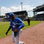 Gerente de Azulejos plantea doble tandas de 7 innings grandes