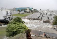 Hallan otros dos cadáveres en zona de Florida devastada por Michael estados unidos