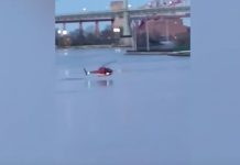 VIDEO: Helicóptero se desploma en río de Nueva York, hay 5 muertos caida de aeronave en estados unidos