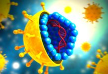 Solo una parte de 328 millones de infectados con hepatitis son conscientes salud