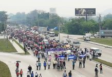Médicos y maestros convocan a paro nacional en Honduras honduras
